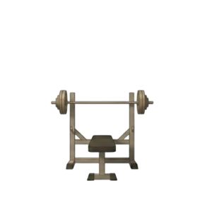 Sportinė žiobaro štanga